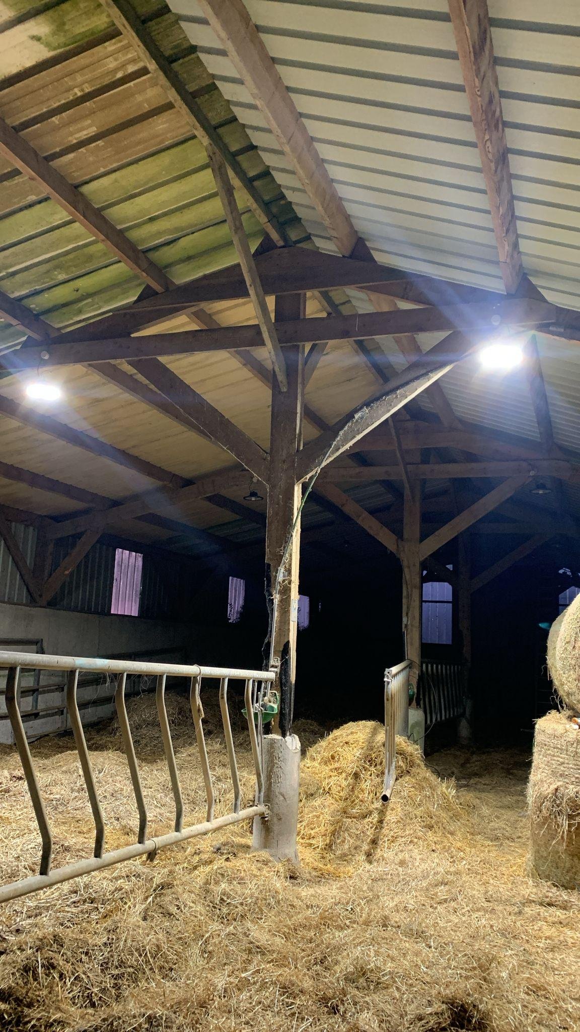 Éclairage LED installé dans un hangar agricole